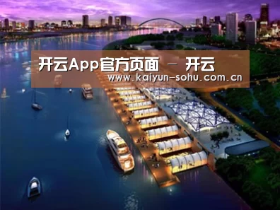 案例展示八